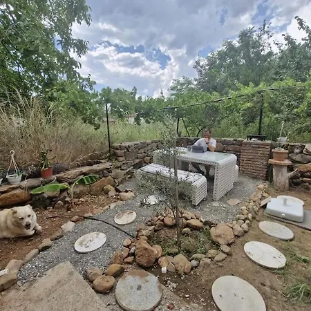Yuvarlak çay Yanında Huzur Ve Doğa Evi