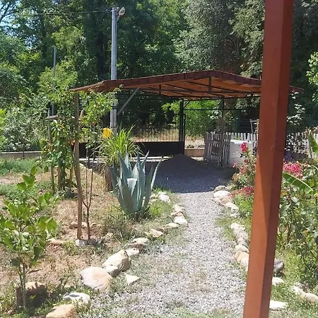 Hébergement de vacances Yuvarlak çay Yanında Huzur Ve Doğa Evi Beyobasi